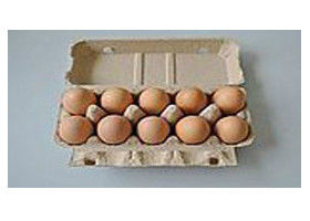 Automatic Egg Tray Pulp Molding Machine