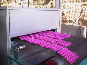 Paper Pulp Molding Machine