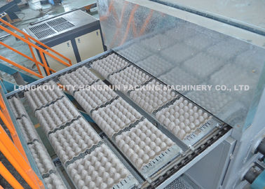 Automatic Pulp Molding Paper Egg Tray Forming Machine with China Supplier