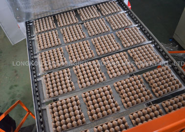 Roller Type Paper Egg Tray Machine ， High quality Egg Tray Production Line